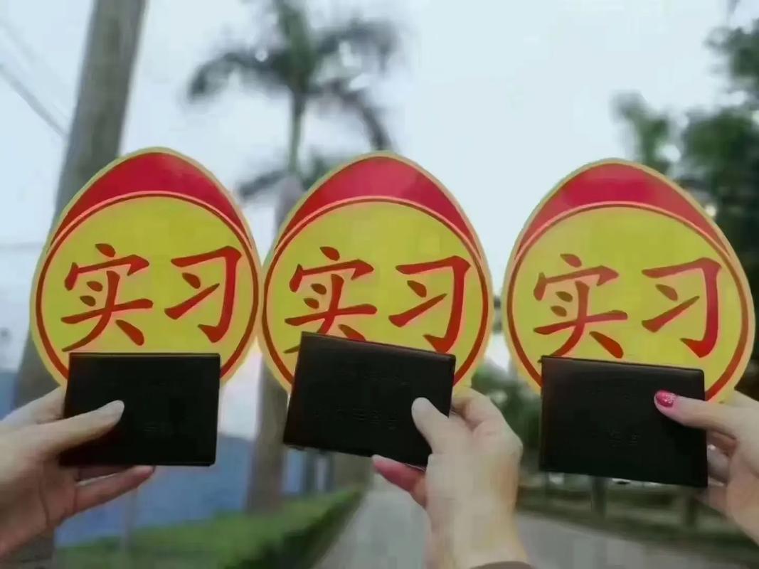 娄底驾校哪里比较好